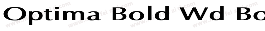 Optima Bold Wd Bold字体转换